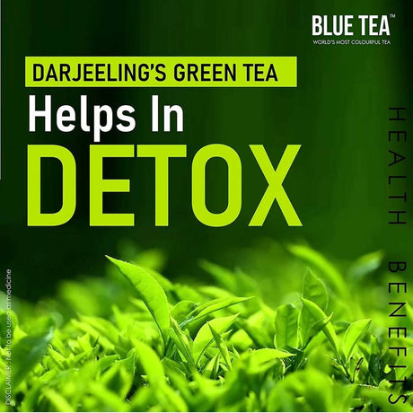 Blue Tea Organic Dandelion Green Tea Bags - Vamzn#