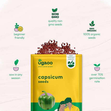 Capsicum Seeds - Vamzn#