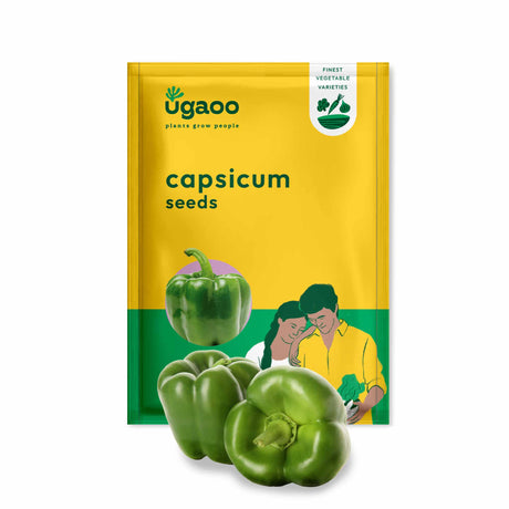 Capsicum Seeds - Vamzn#