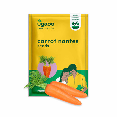 Carrot Nantes Seeds (Improved) - Vamzn#