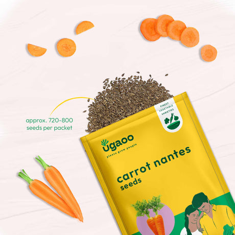 Carrot Nantes Seeds (Improved) - Vamzn#