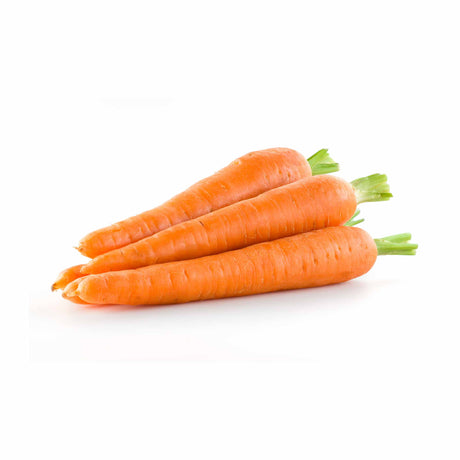 Carrot Nantes Seeds (Improved) - Vamzn#