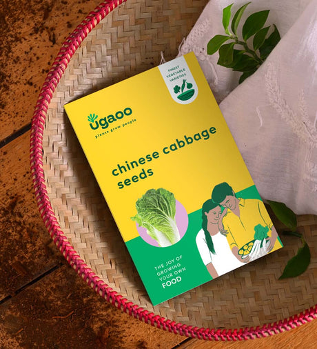 Chinese Cabbage Seeds - Vamzn#