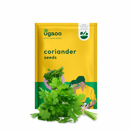 Coriander Seeds - Vamzn#